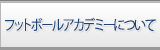 フットボールアカデミーについて